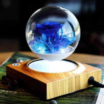 Pot <br> Boule de Verre