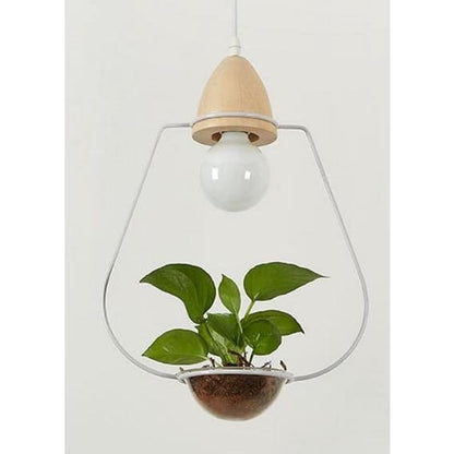 plafonniers vegetaux