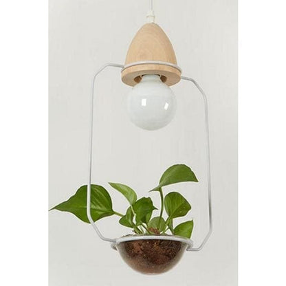 lampes végétales