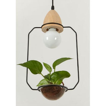 lampes vegetales