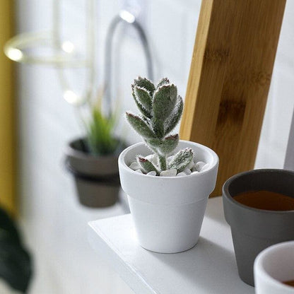 Pot de Fleurs Mural <br> Design Scandinave (x2)