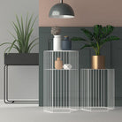 repose-plante