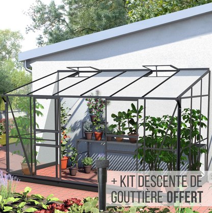 serre adossee veranda