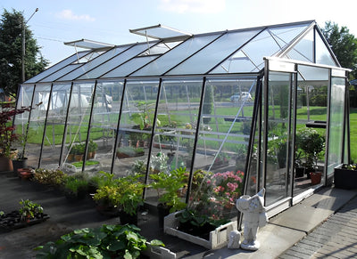 serre-jardin-acier-verre-ACD