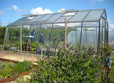 serre-jardin-acier-verre-ACD_belgique-pas-cher