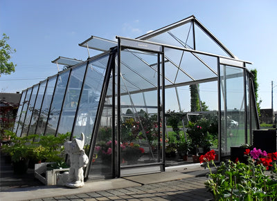 serre-jardin-acier-verre
