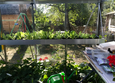 serre-jardin-orignale-ACD