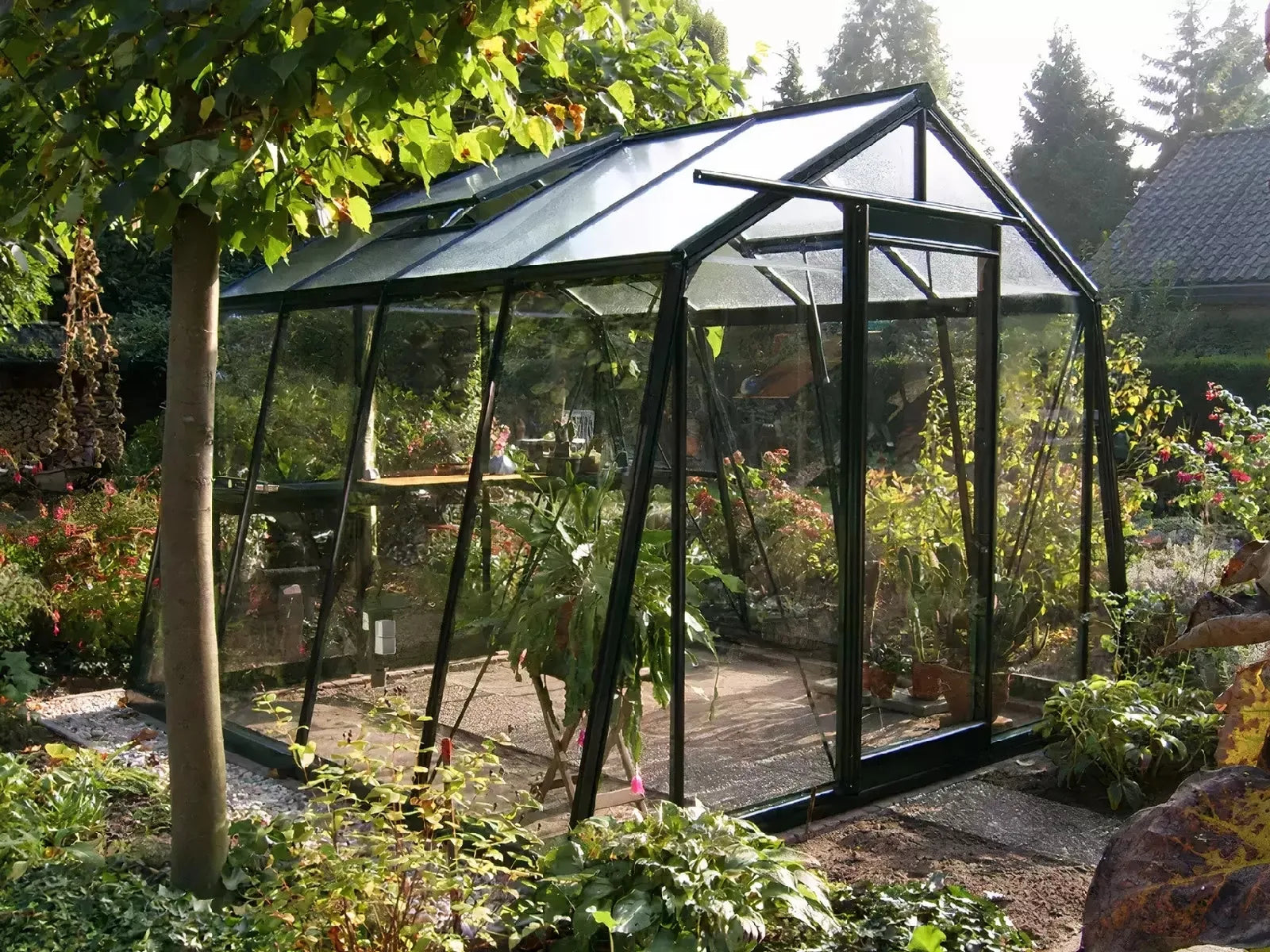 serre_exterieure_verre_acd_paroi_oblique_design