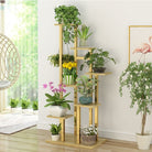 support-multiple-plante