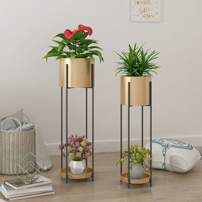 support-plante-pas-cher
