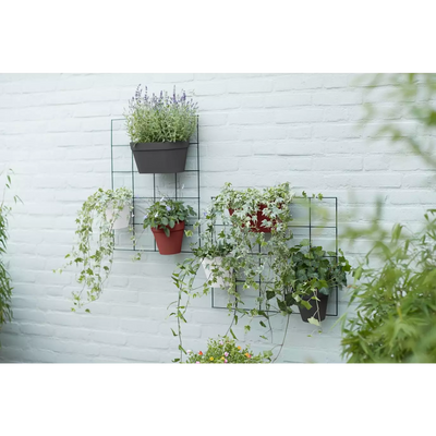 Pot Mural Plastique <br> Wall duo (x10)